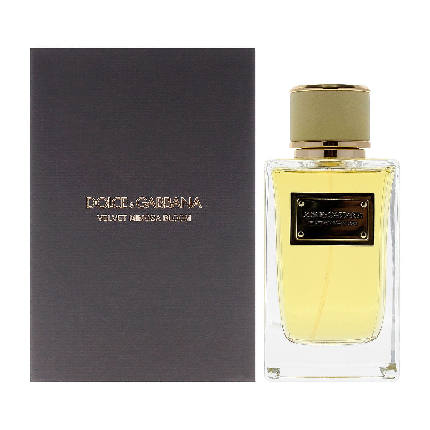 Dolce and Gabbana Velvet Mimosa Bloom