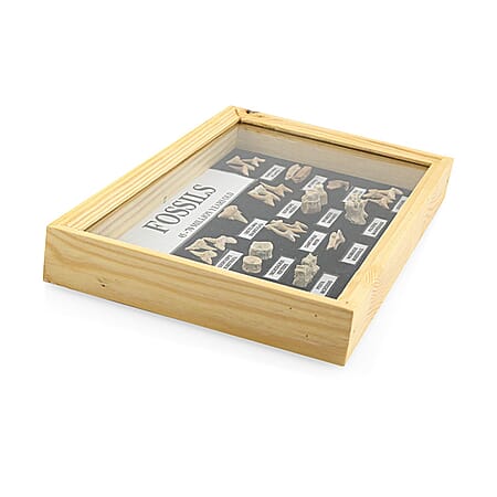 S - Product card gallery slide 2 (10177946550585)