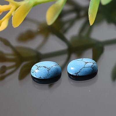 Blue Howlite Set of 2 (Ovl 7x5 mm) 1.18 ctw Loose Gemstone