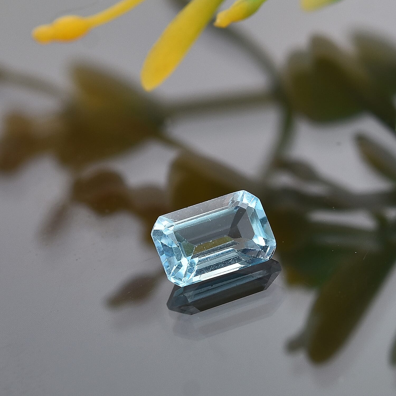 Default Title - Product card gallery slide 2 (10146040643867)