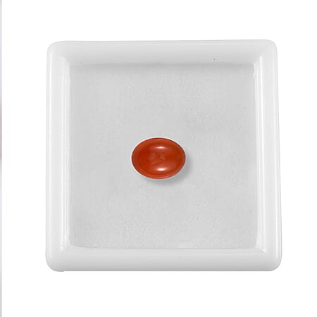 Default Title - Product card gallery slide 4 (10177958314297)