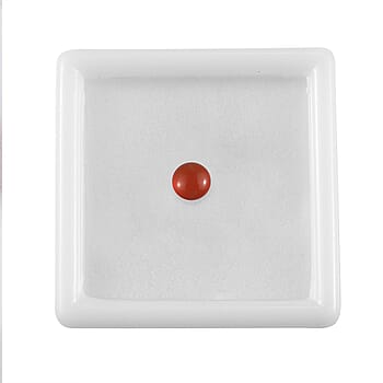 Default Title - Product card gallery slide 4 (10177958248761)