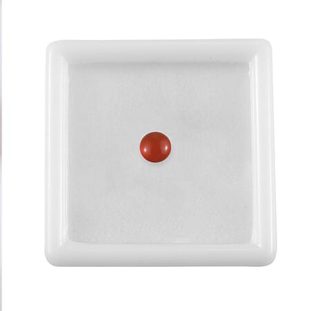 Default Title - Product card gallery slide 4 (10177958248761)