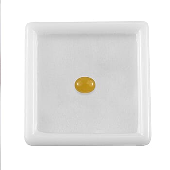 Default Title - Product card gallery slide 4 (10177960182073)
