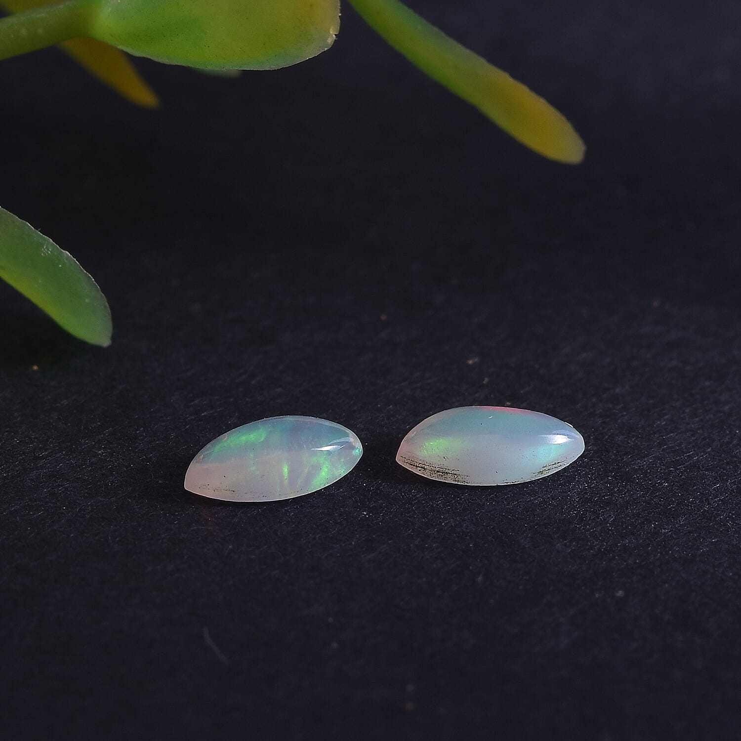 Ethiopian Welo Opal Set of 2 (Mrq 6x3 mm) 0.27 ctw Loose Gemstone