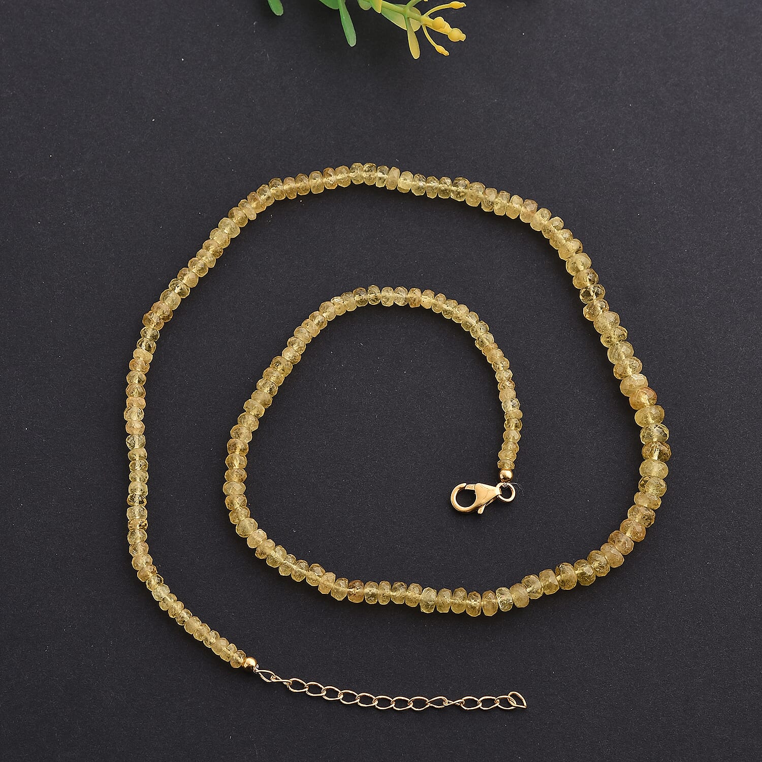 Default Title - Product card gallery slide 2 (10146050965787)