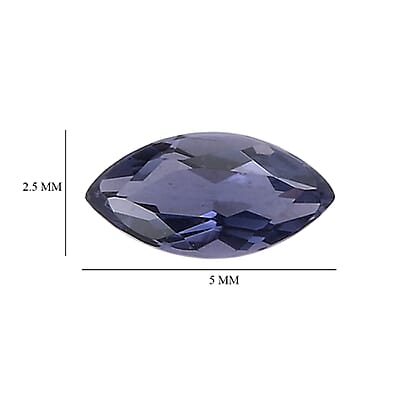 Catalina Iolite Set of 2 (Mrq 5x2.5 mm) 0.22 ctw Loose Gemstone