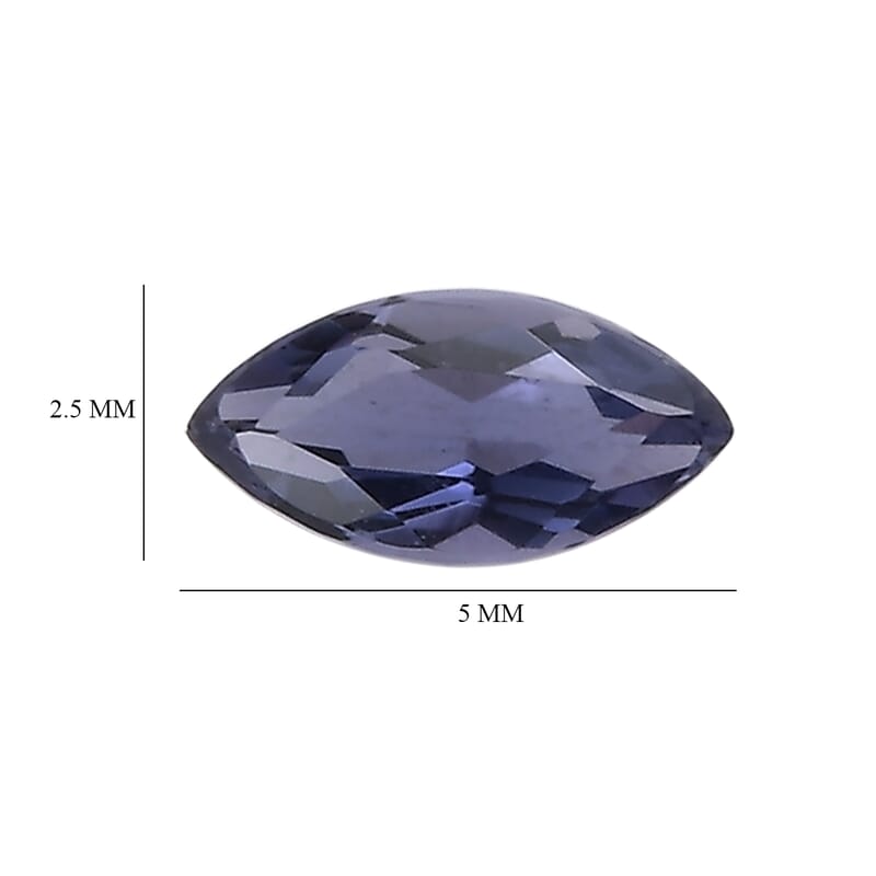 Catalina Iolite Set of 2 (Mrq 5x2.5 mm) 0.22 ctw Loose Gemstone