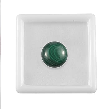 Default Title - Product card gallery slide 3 (10177964605753)