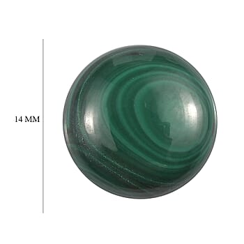 Default Title - Product card gallery slide 4 (10177964605753)