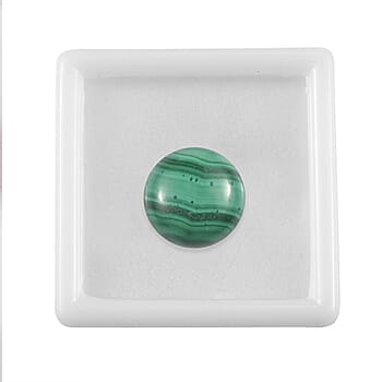 Default Title - Product card gallery slide 3 (10177964671289)