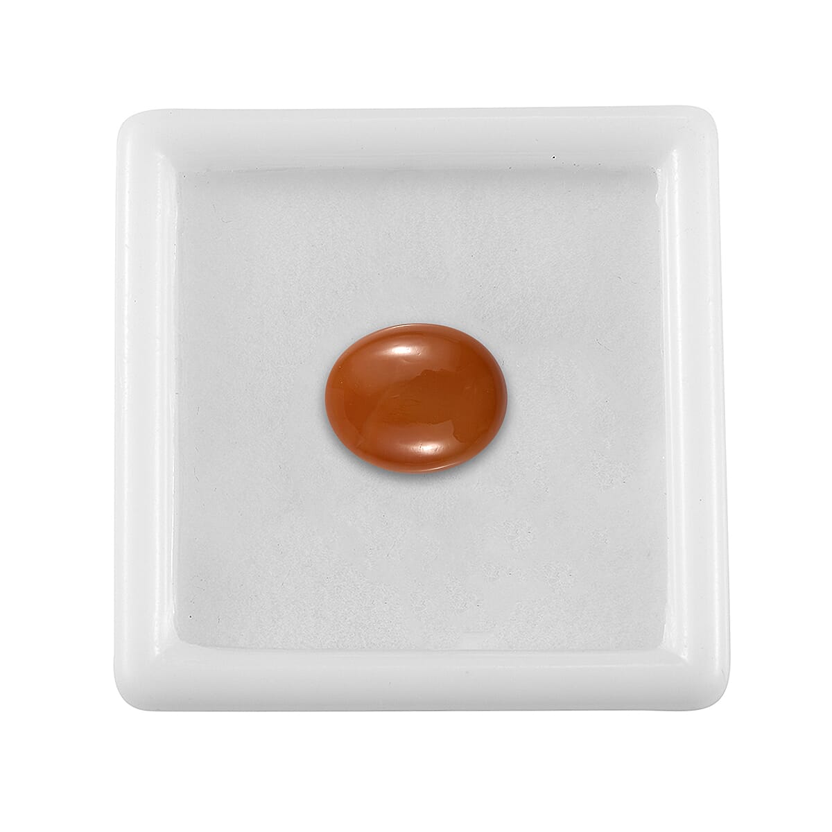 Default Title - Product card gallery slide 3 (9432761368831)