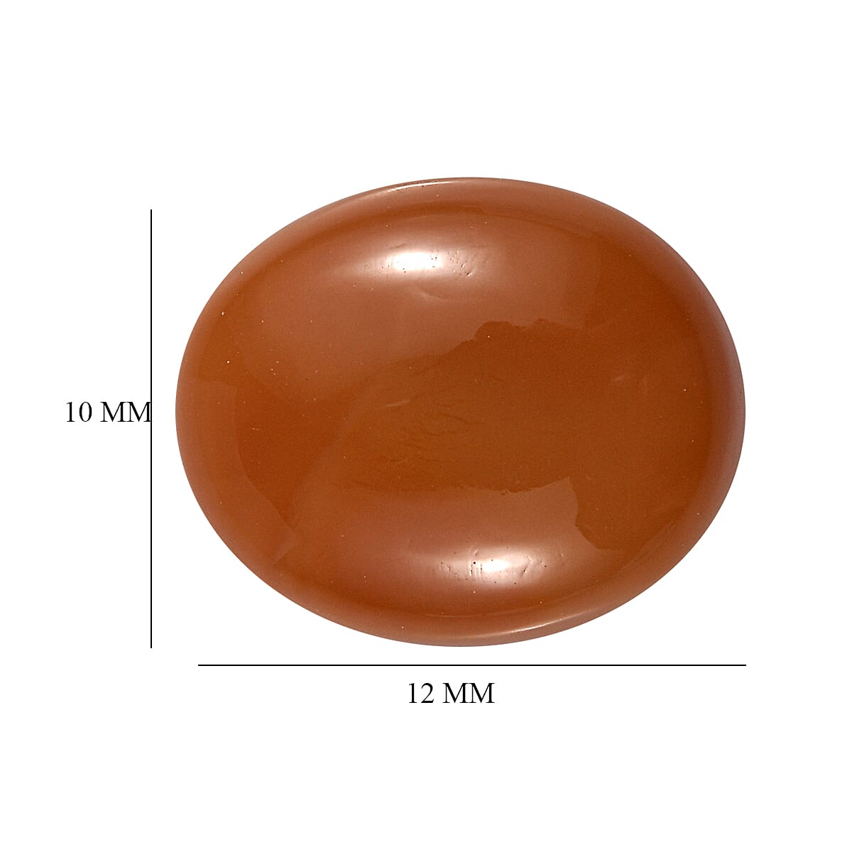 Default Title - Product card gallery slide 4 (9432761368831)