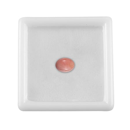 Default Title - Product card gallery slide 3 (10177966506297)