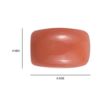 Default Title - Product card gallery slide 4 (10177966866745)