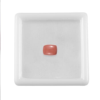 Default Title - Product card gallery slide 3 (10177966899513)