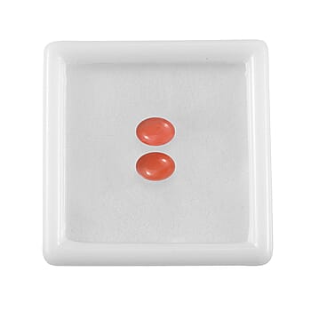 Default Title - Product card gallery slide 3 (10177967194425)