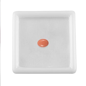 Default Title - Product card gallery slide 3 (10177967980857)