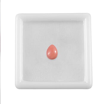 Default Title - Product card gallery slide 3 (10177967817017)