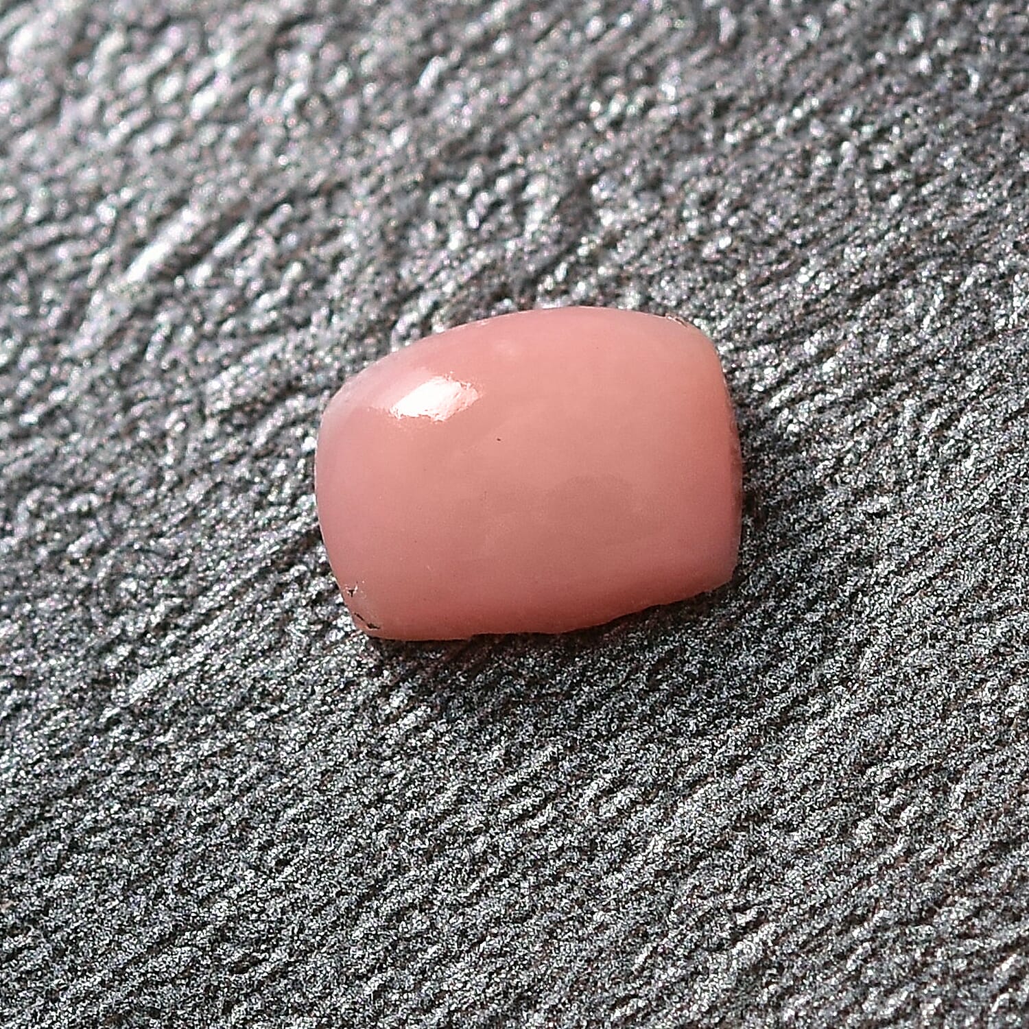 Default Title - Product card gallery slide 2 (10146108834075)