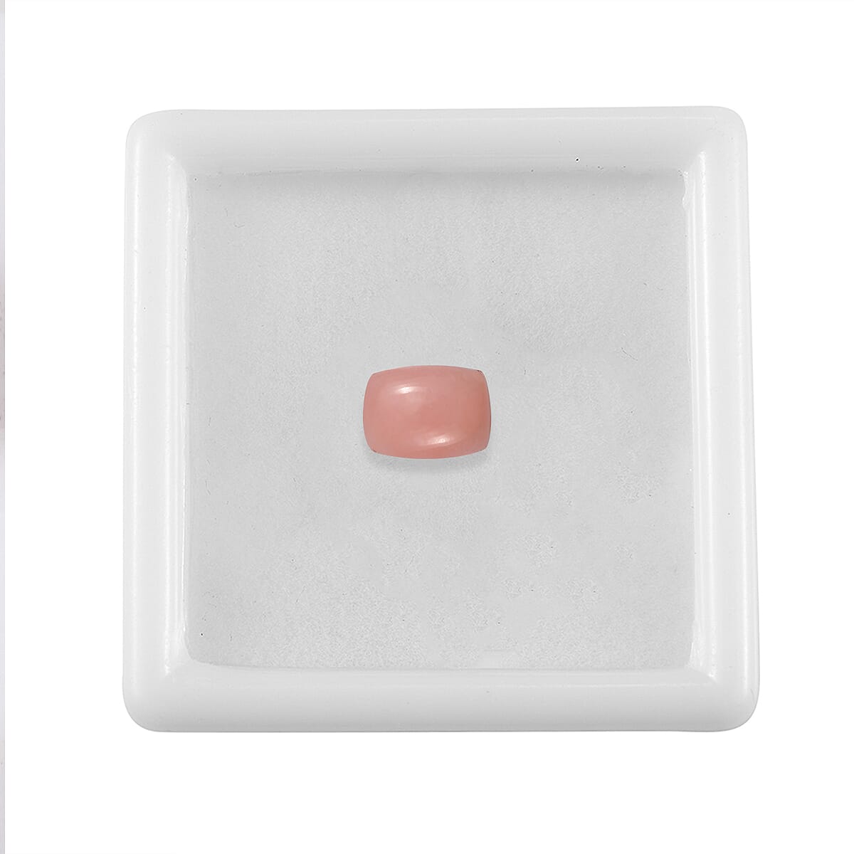 Default Title - Product card gallery slide 4 (10146108834075)