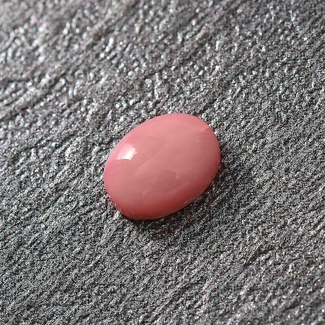 Default Title - Product card gallery slide 2 (10146082521371)