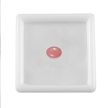 Default Title - Product card gallery slide 4 (10177970143545)