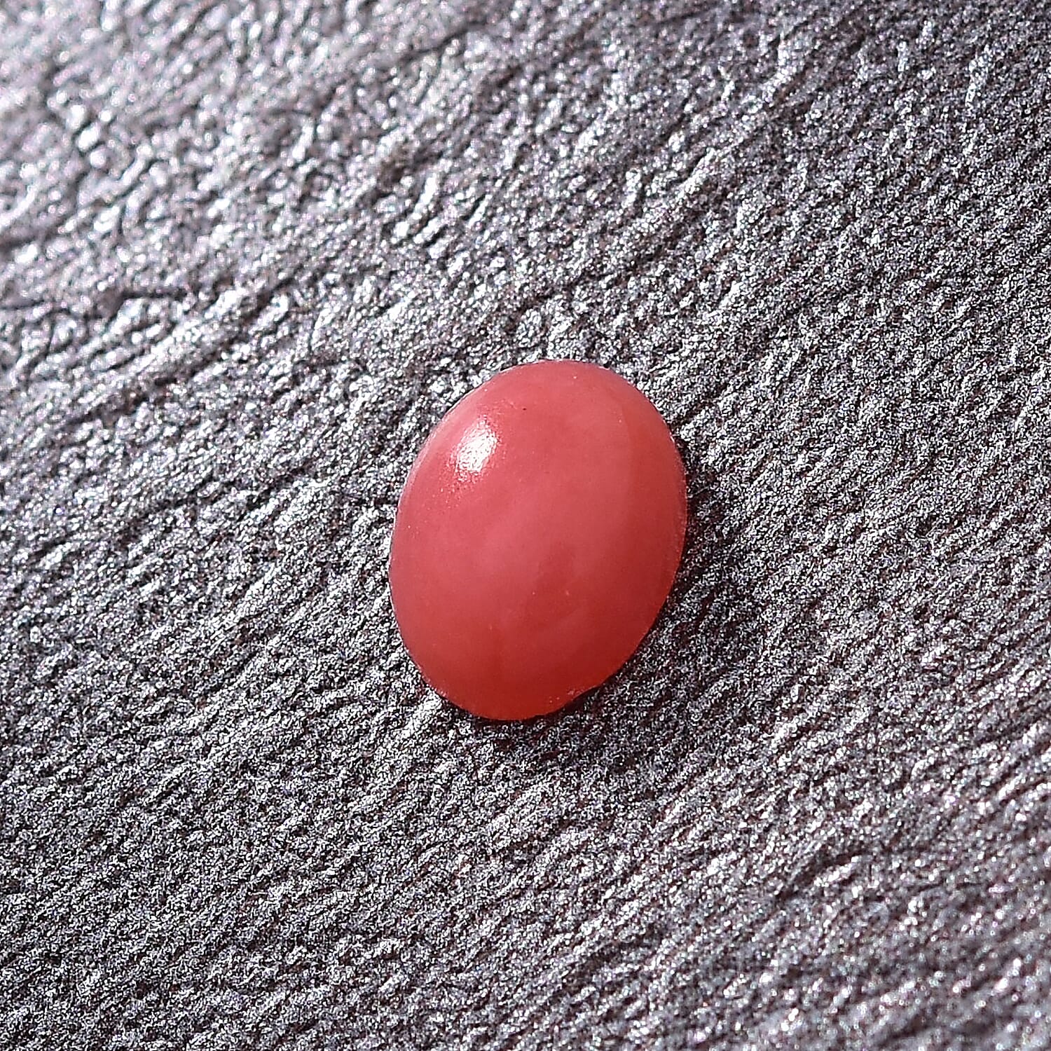 Default Title - Product card gallery slide 2 (10146072101147)