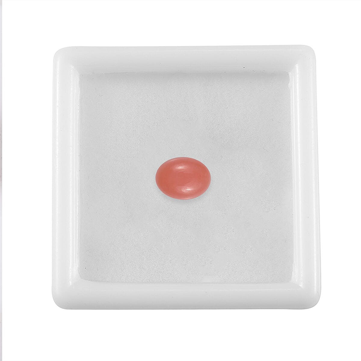 Default Title - Product card gallery slide 4 (10146072101147)