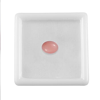 Default Title - Product card gallery slide 4 (10177970209081)