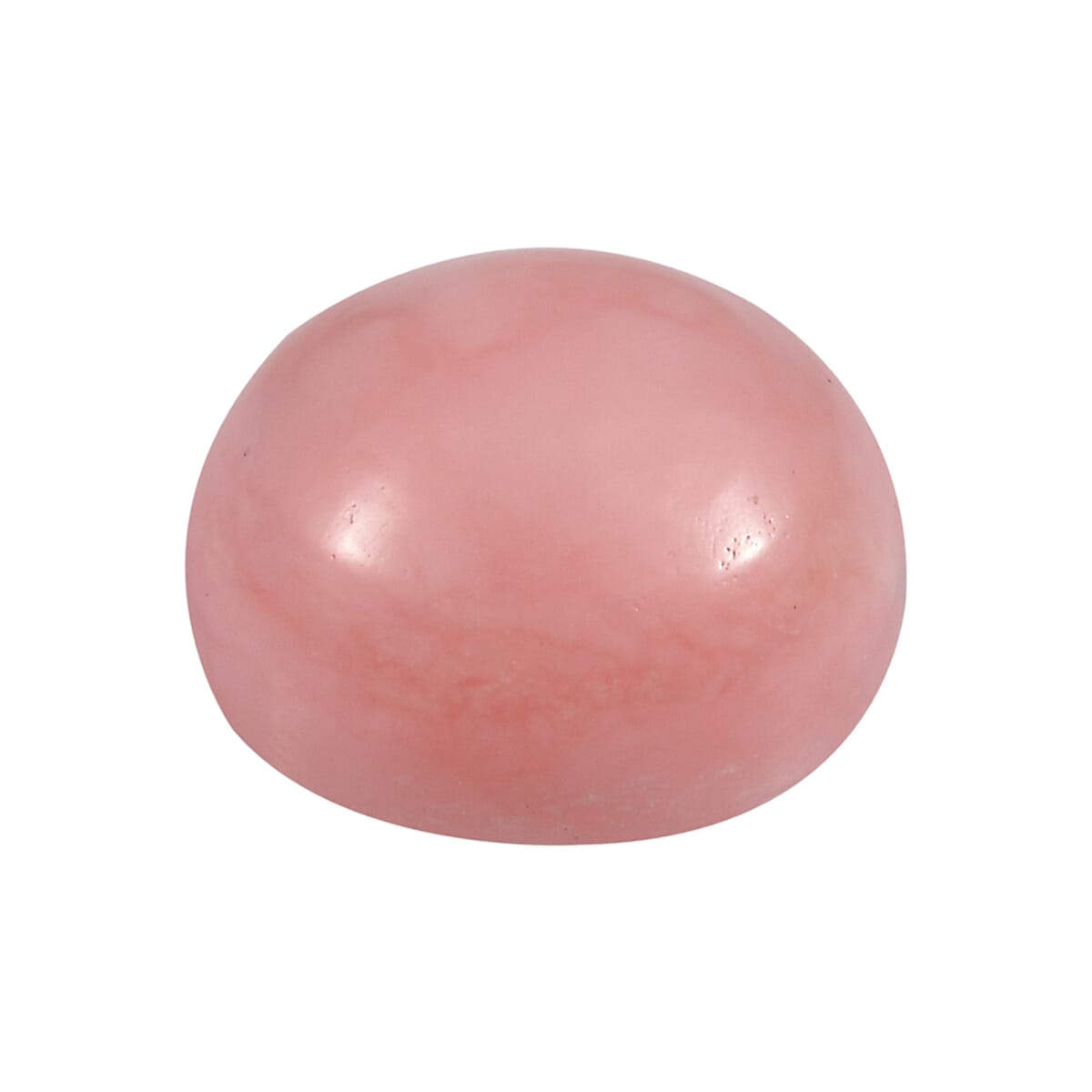 Default Title - Product card gallery slide 3 (10146053161243)