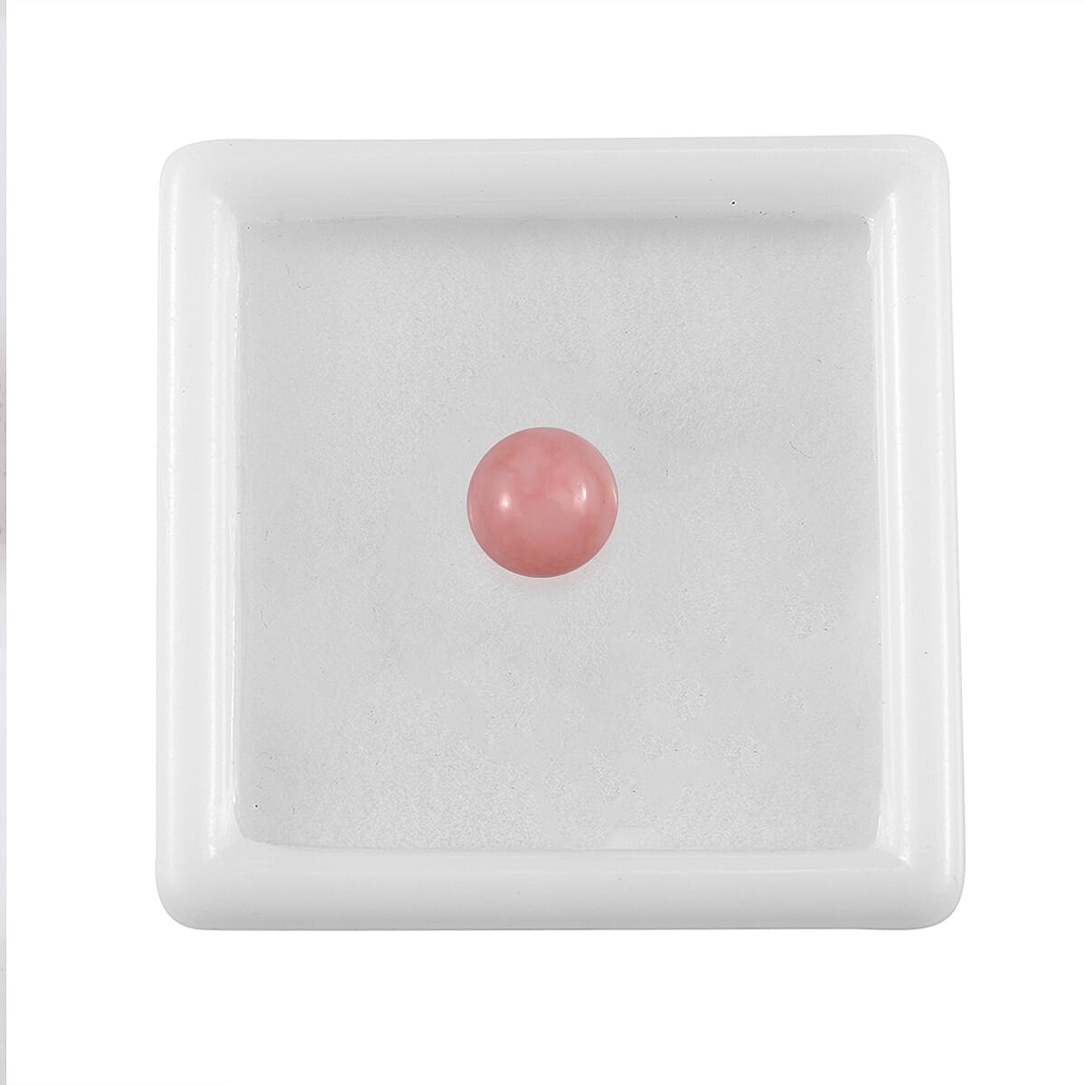 Default Title - Product card gallery slide 4 (10146053161243)