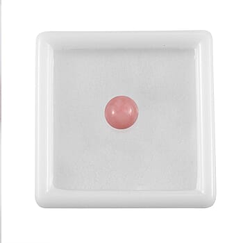 Default Title - Product card gallery slide 4 (10177969946937)