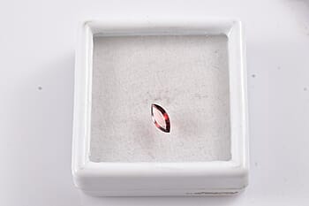 Default Title - Product card gallery slide 3 (10177970340153)