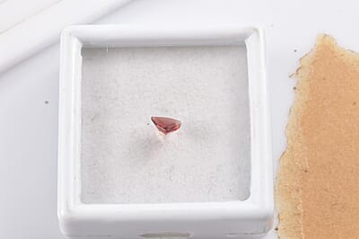 AA Mozambique Garnet (Trl 6 mm) 0.82 ctw Loose Gemstone