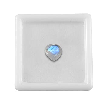 Default Title - Product card gallery slide 4 (10177970372921)