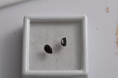 Set of 2 Elite Shungite (Pear 7x5 mm) 0.67 ctw Loose Gemstone