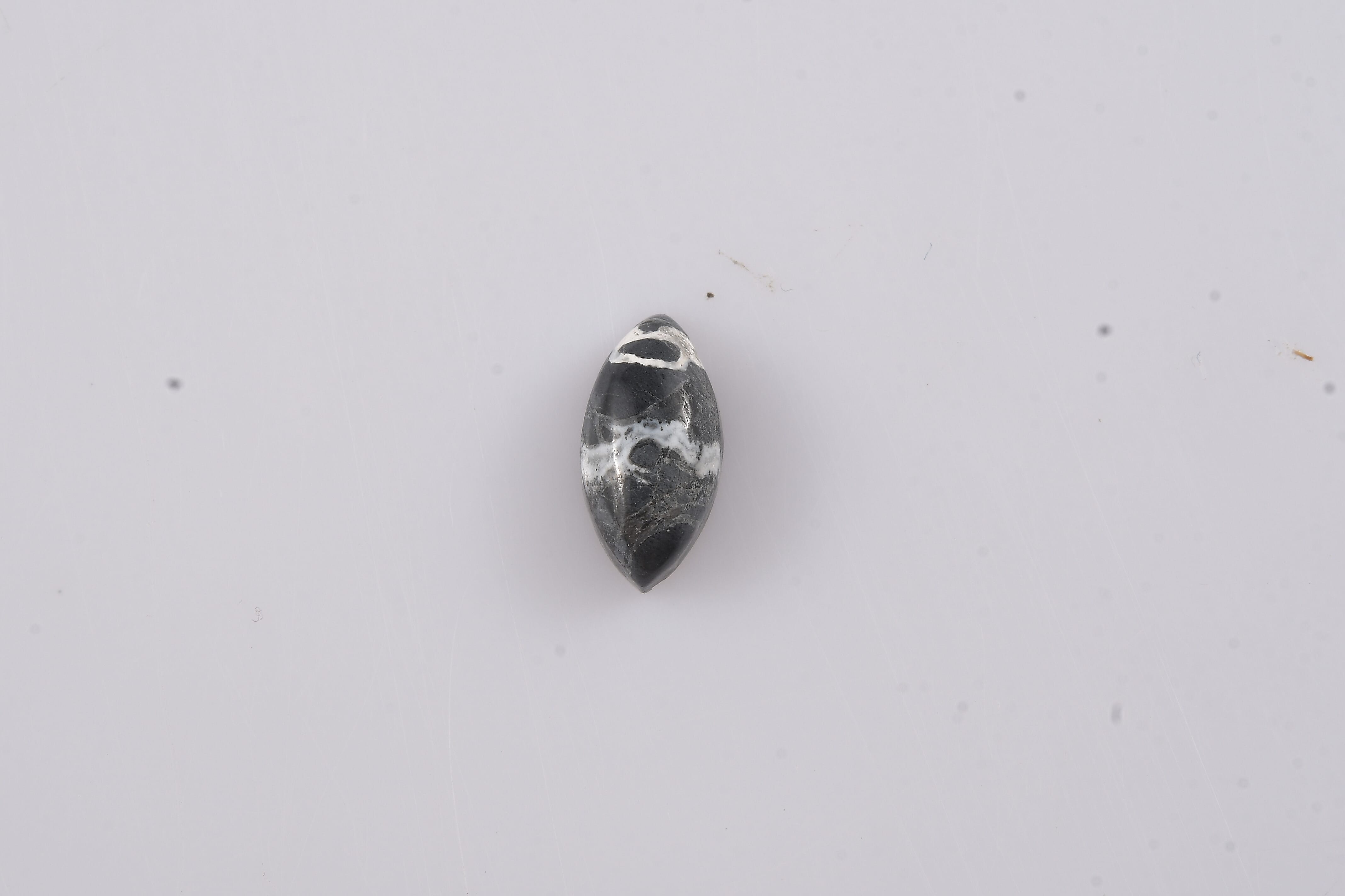 White Buffalo (Mrq 10x5 mm) 1.01 ctw Loose Gemstone