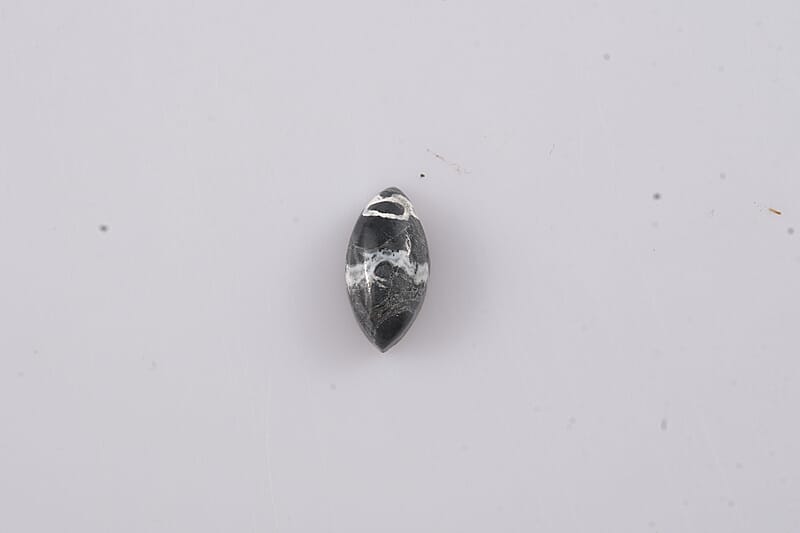 White Buffalo (Mrq 10x5 mm) 1.01 ctw Loose Gemstone