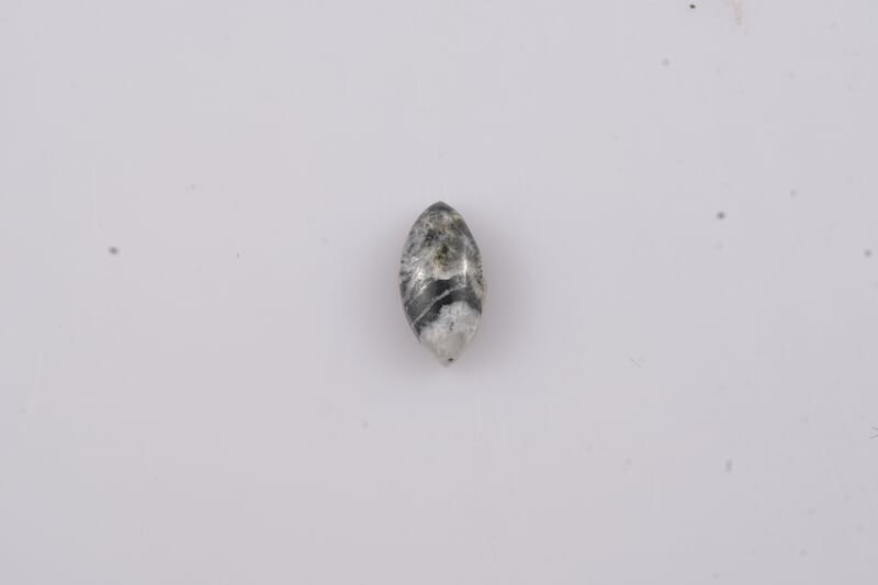 White Buffalo (Mrq 8x4 mm) 0.57 ctw Loose Gemstone