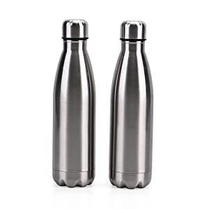 Silver Color Stainless Steel Double Wall 2pcs Bottles