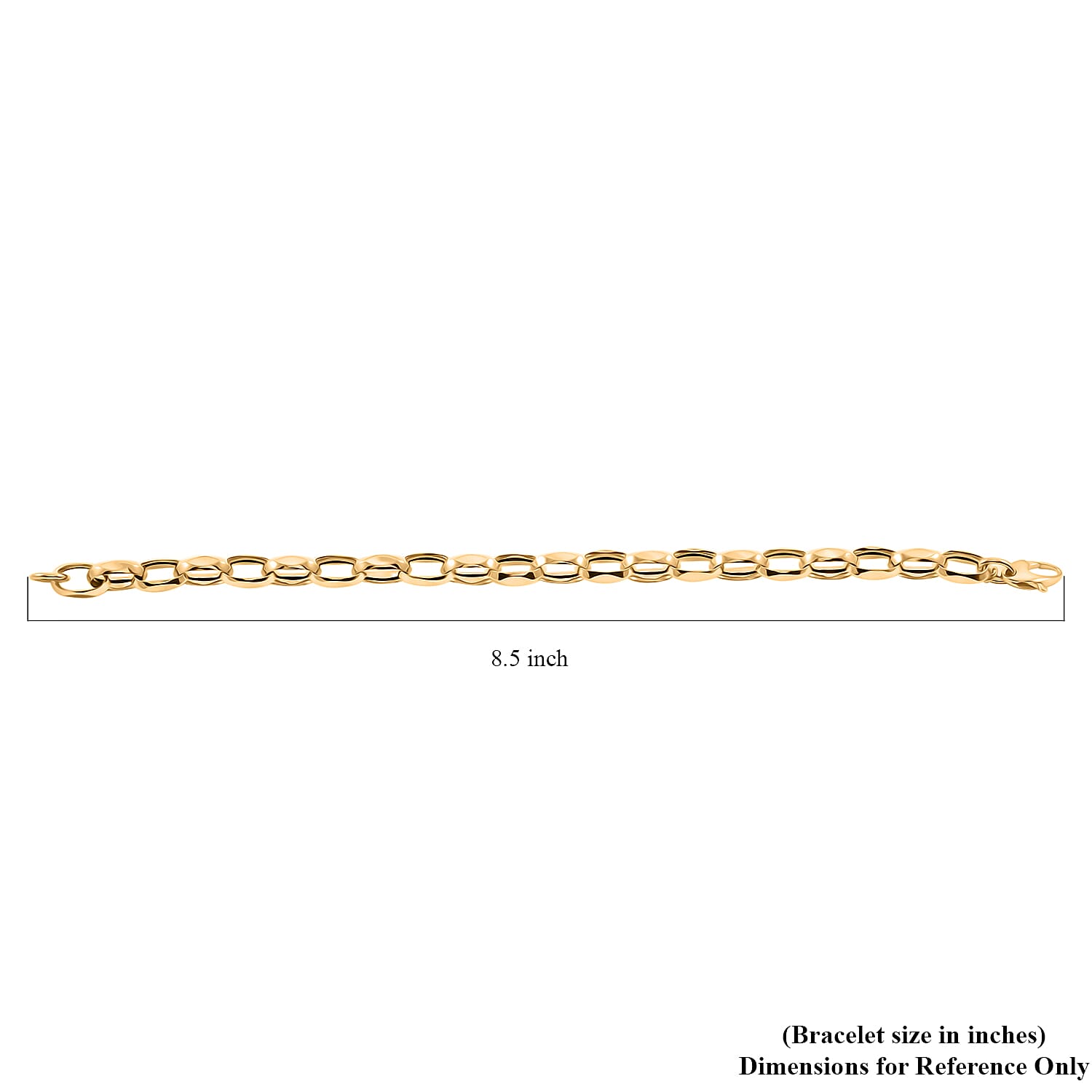 Italian Oval Link Chain Bracelet in 10K Yellow Gold (7.50 In) 3.95 Grams