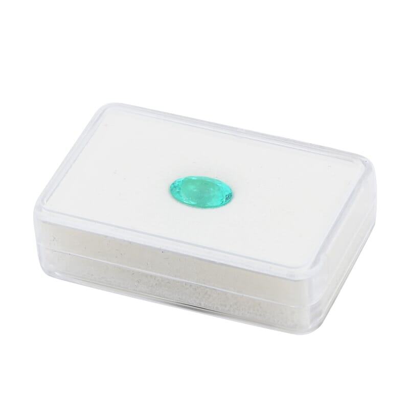 Gubelin Certified AAAA Paraiba Tourmaline (Ovl Free Size) 3.91 ctw