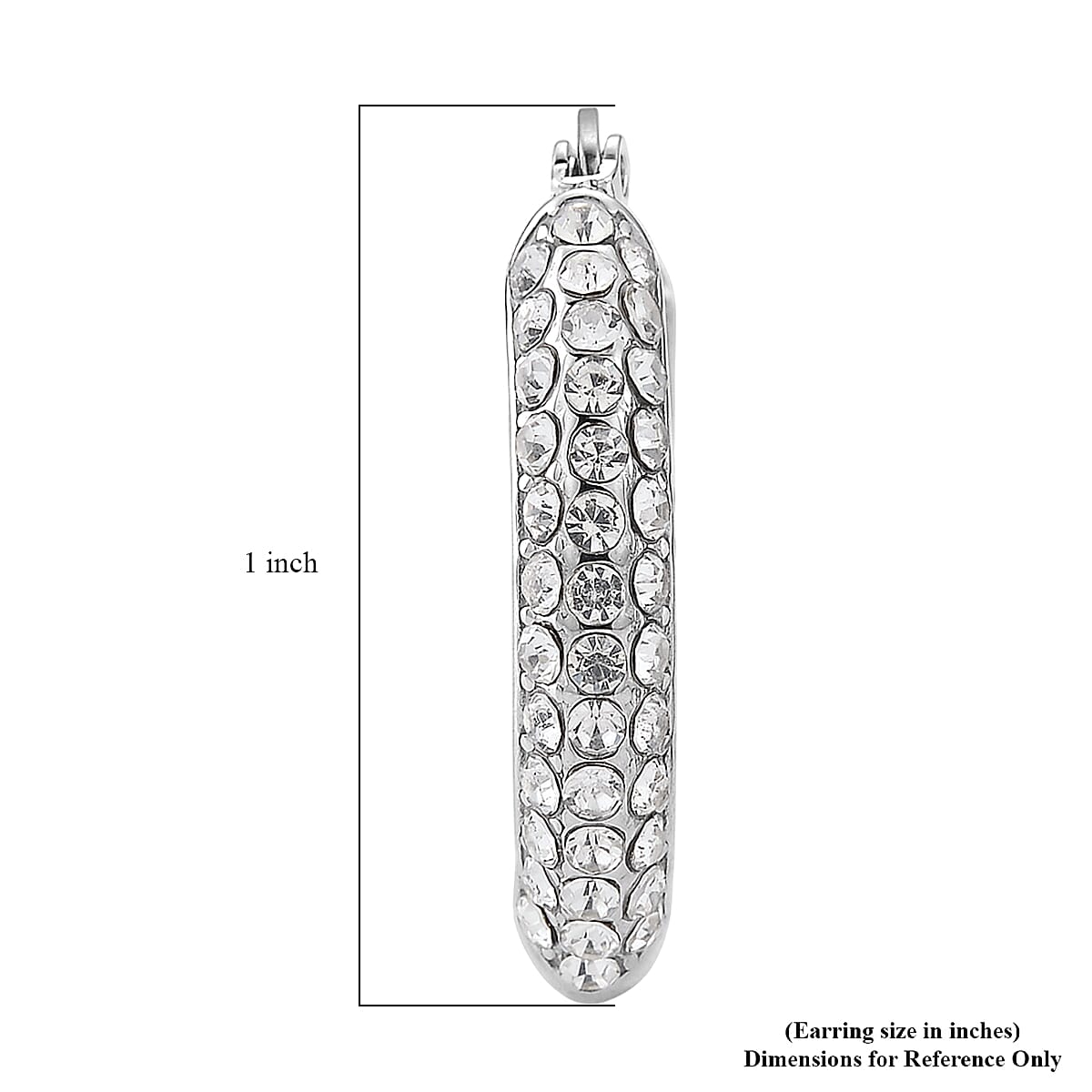 Austrian Crystal Hoop Earrings in Stainless Steel image number 5