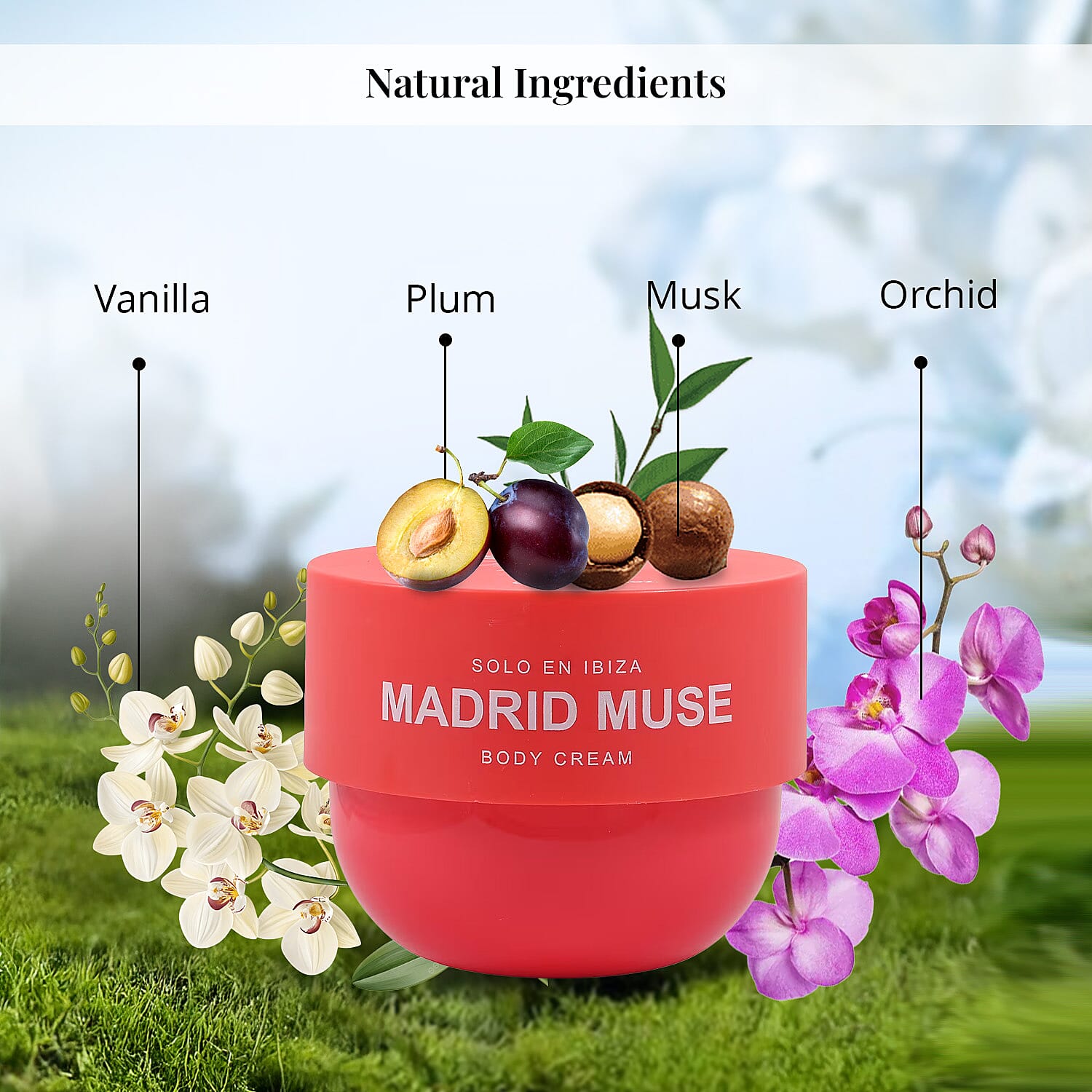 SOLO EN IBIZA Madrid Muse 8oz Body Cream