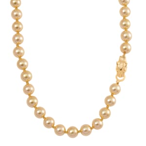  Golden Shell Pearl  Necklace (Size - 20) 380.00 380.00 ctw