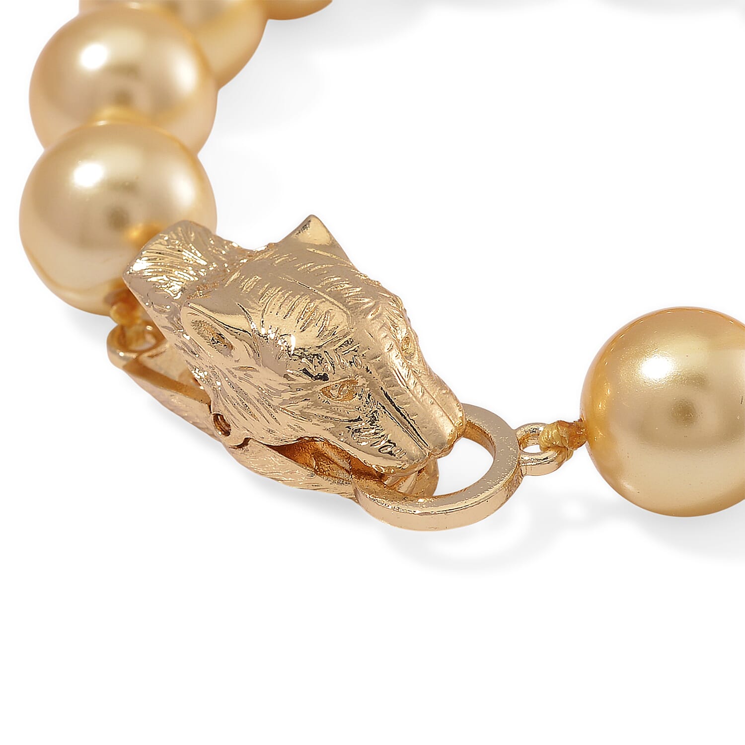 Golden Shell Pearl Bracelet with Leopard Lock in Goldtone (8.00 In)