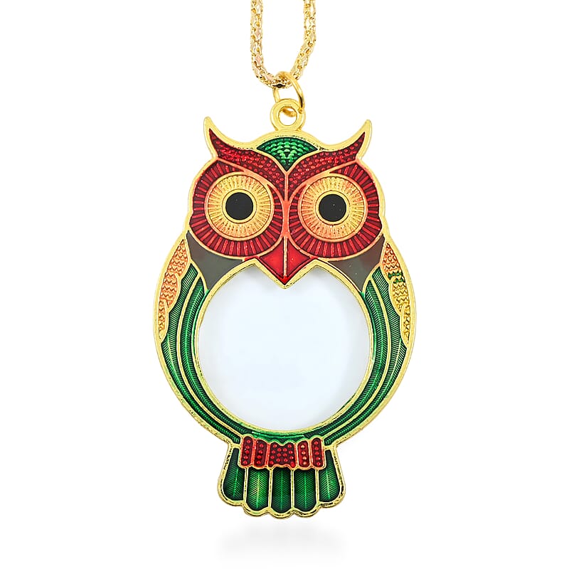 CLOSEOUT Pinpoint Owl Necklace Magnifier 1
