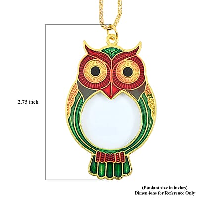 CLOSEOUT Pinpoint Owl Necklace Magnifier 1