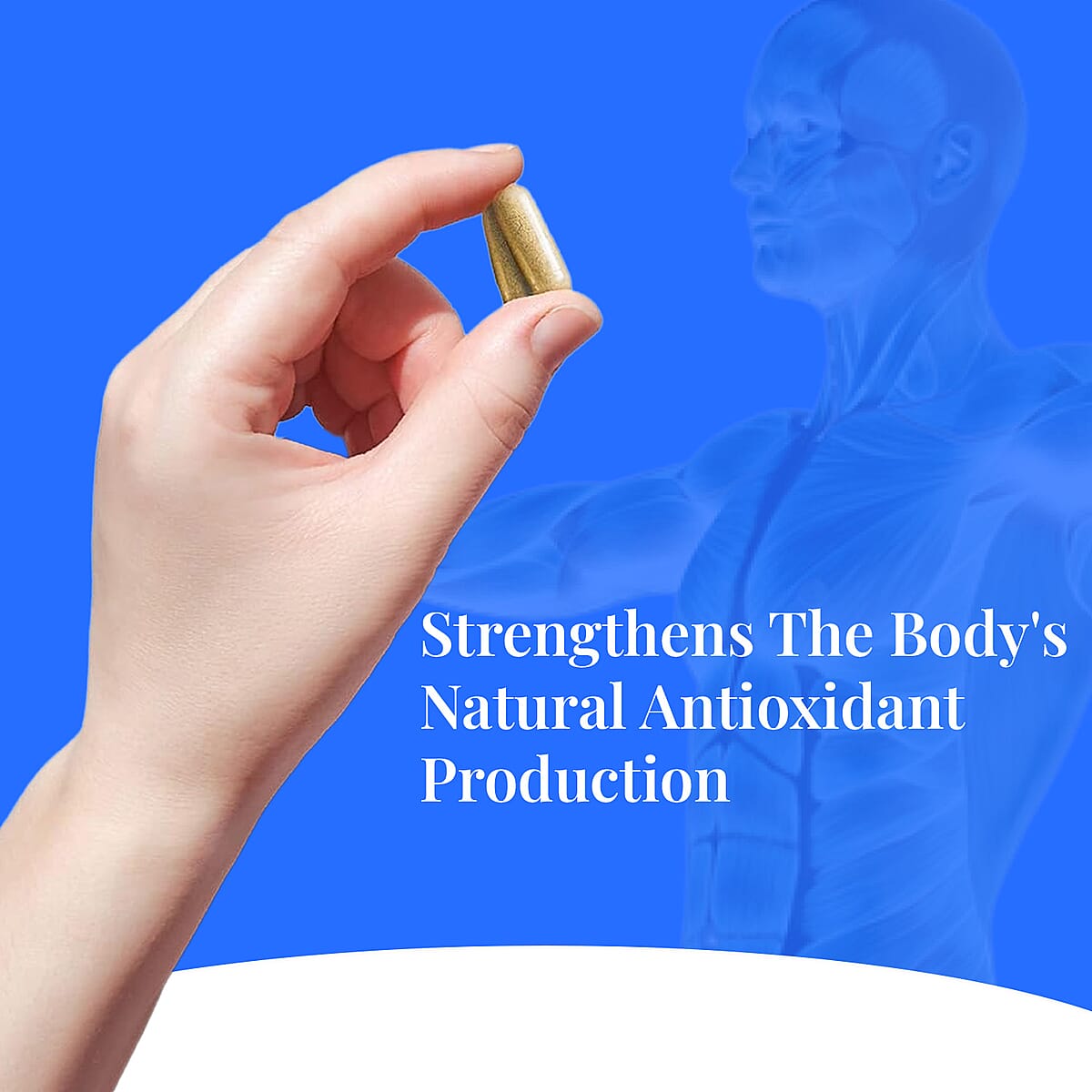 PureHealth Research Liver Health Dietary Supplement 60 Vegetarian Capsules image number 4